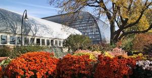 Garfield Park Conservatory