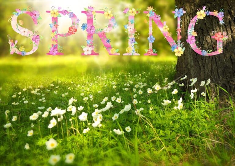 Spring is in the Air!