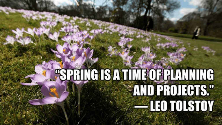 Happy Spring!!
