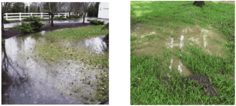 Beautiful, Healthy Lawns; The Right Drain Controls the Rain!