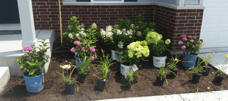 Tips to Create Beautiful Curb Appeal