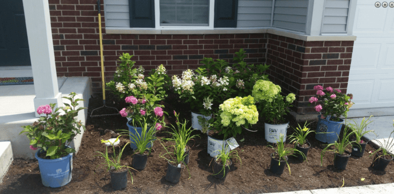 Helpful Tips for Happy Planting