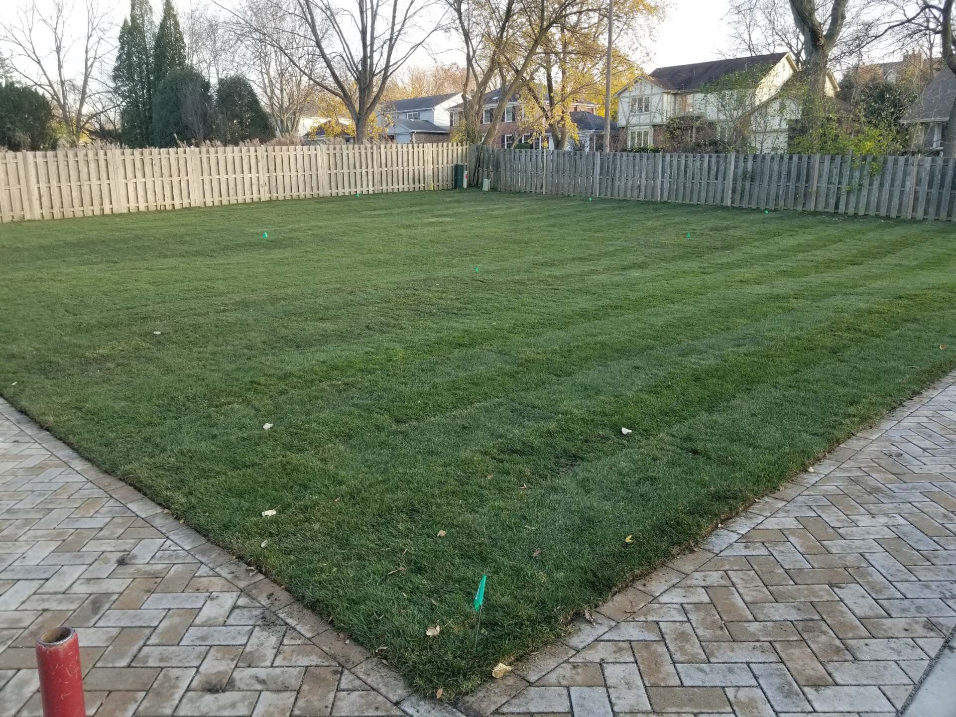 New sod lawn edged by a paver walkway