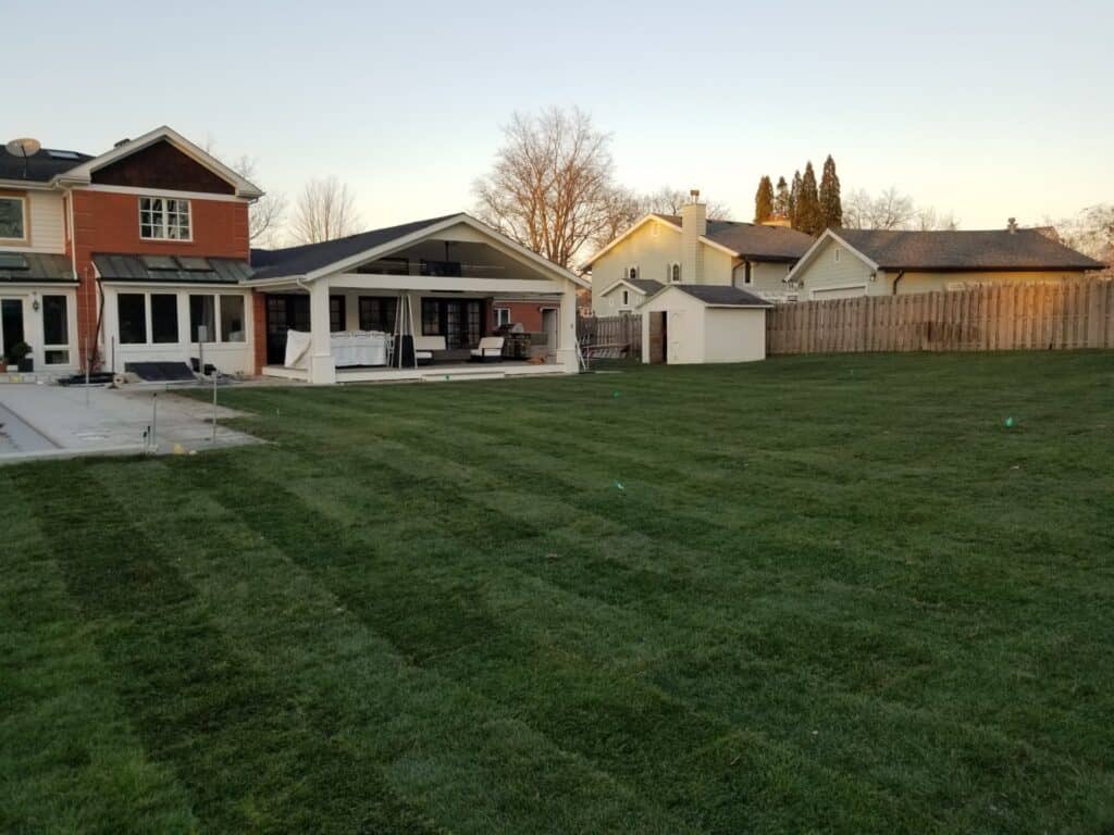 New sod lawn on a regraded backyard, sloping away from the house