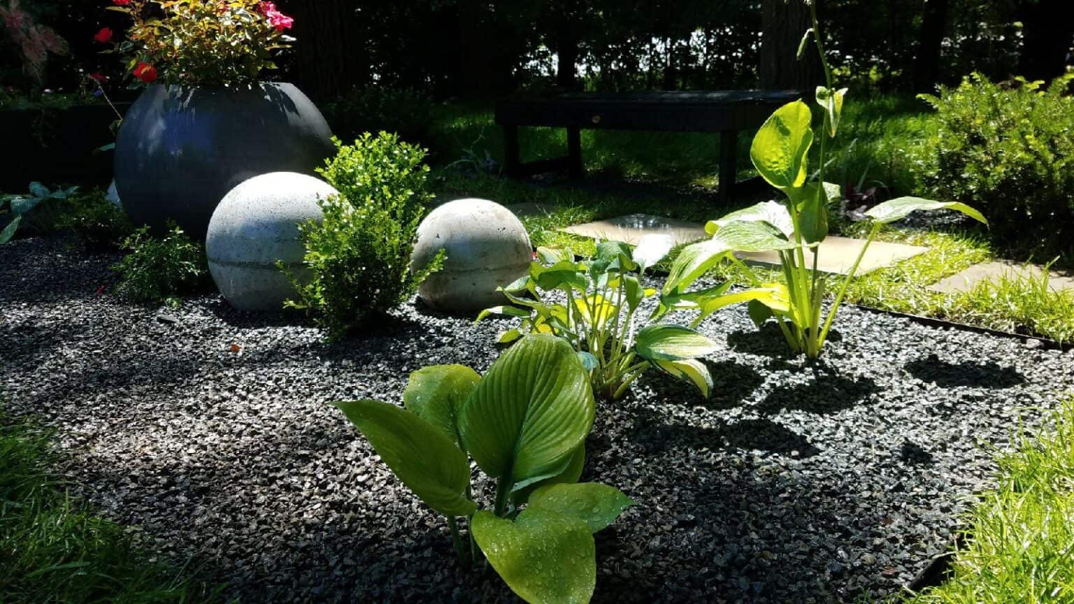 Gravel garden with stone spheres, hostas and boxwood in a shaded backyard