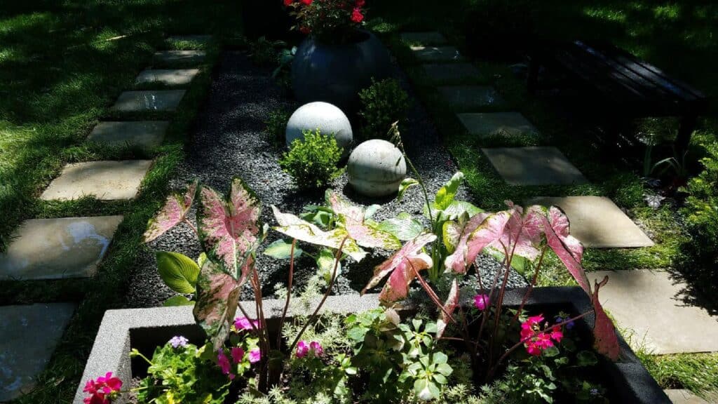 Layered planting bed with caladiums, boxwood and stone spheres set in decorative gravel
