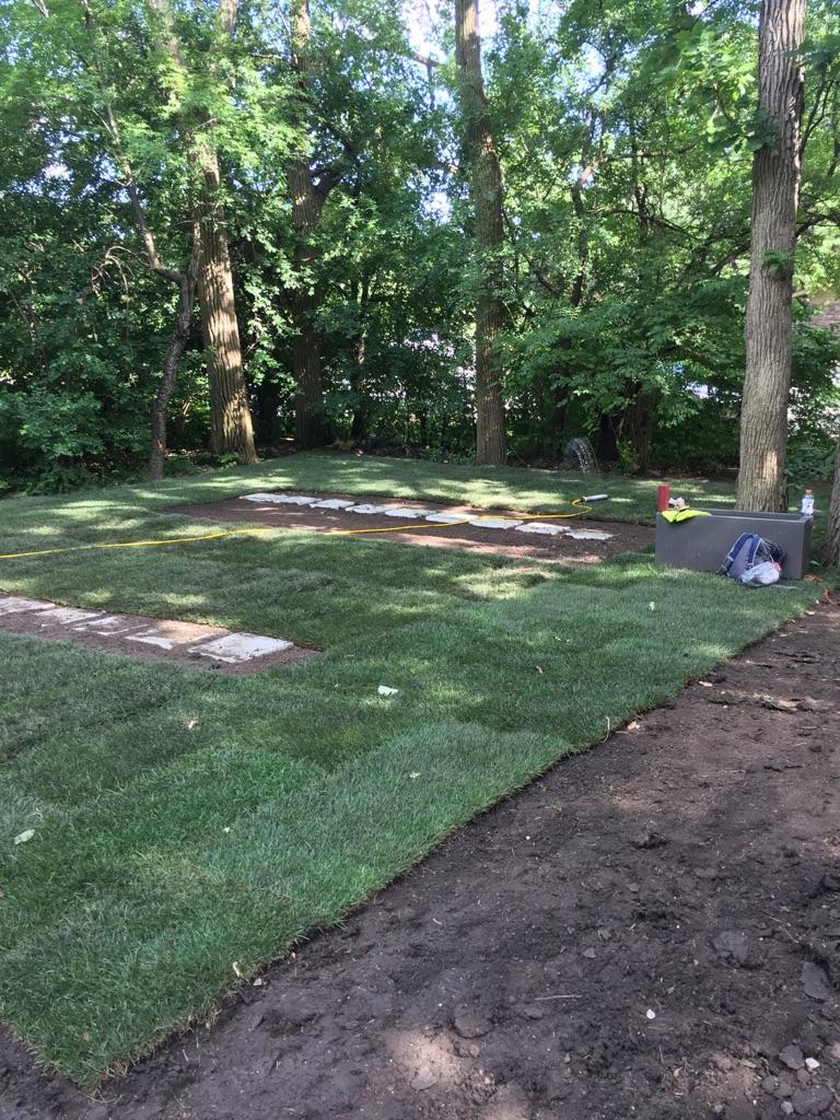 New sod lawn and planting beds in a wooded, shaded backyard