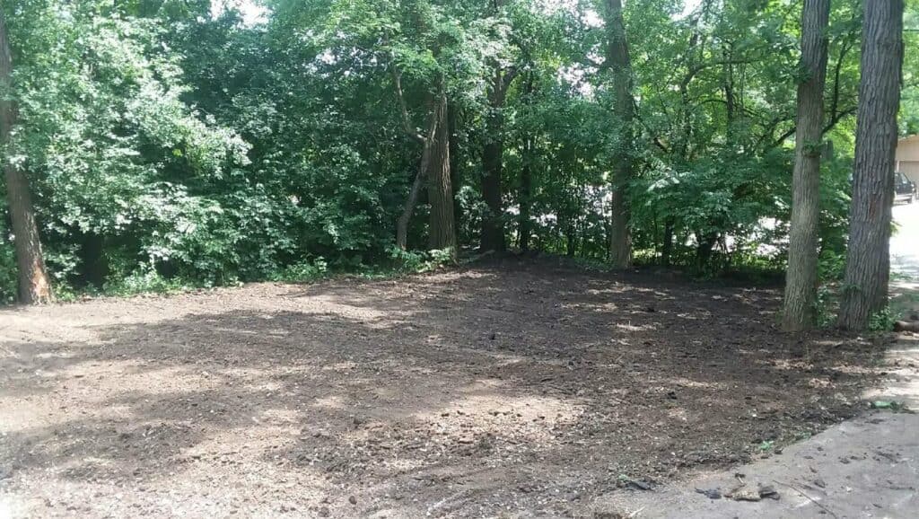 Wooded backyard cleared and graded before planting