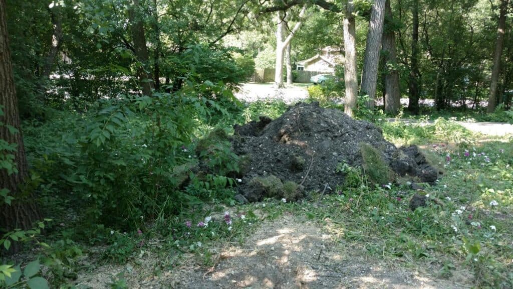 Overgrown, shaded backyard before a new garden was designed and planted