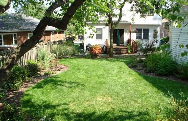 Backyard lawn and planting beds after a regrade and new sod