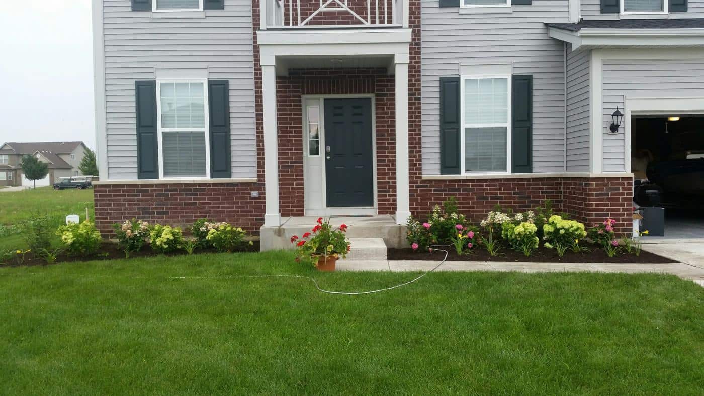 New shrubs and hydrangeas planted along the front of a brick and siding home