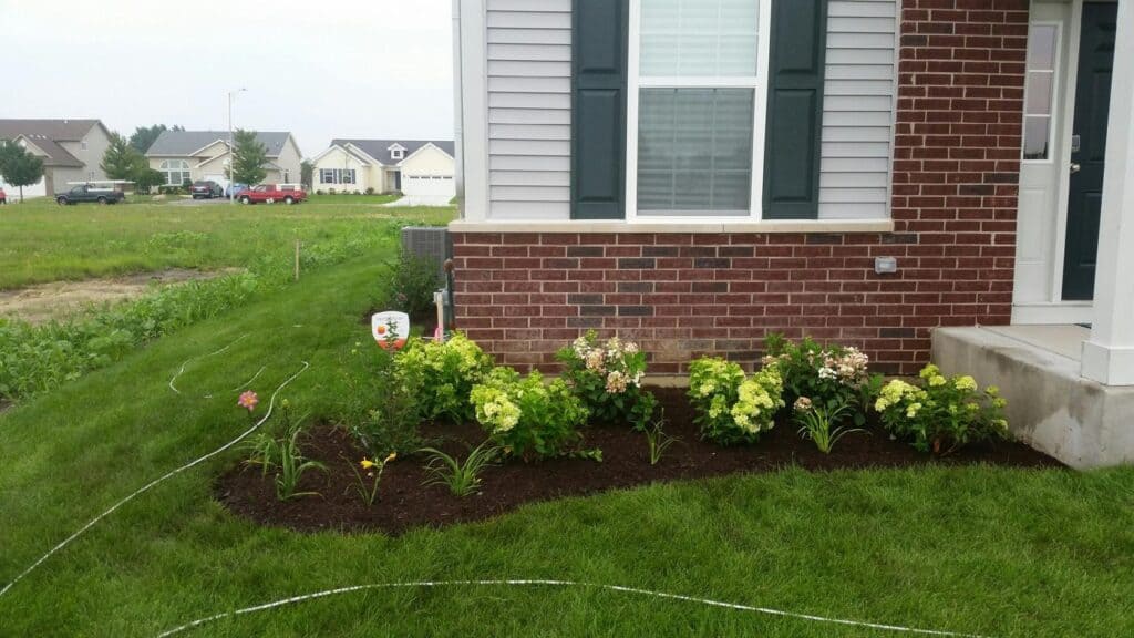 Finished foundation planting with fresh mulch along a brick home