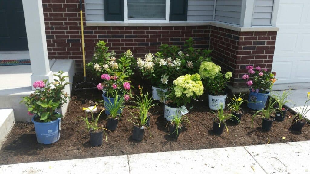 New shrubs and perennials set out in their pots along a front foundation before planting